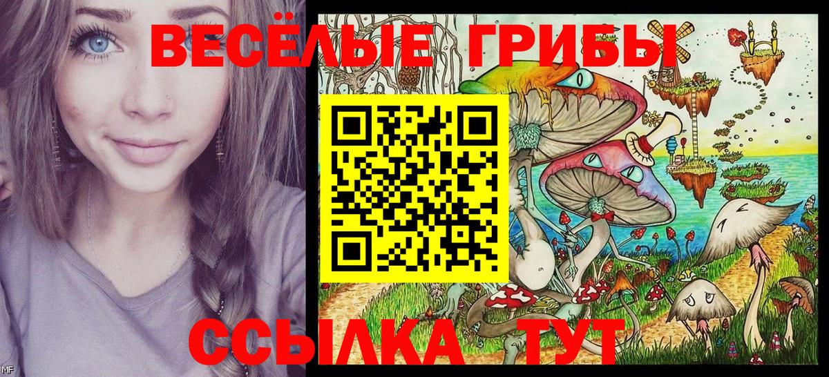 Комсомольск-на-Амуре  Псилоцибиновые грибы MAGIC MUSHROOMS  Вход с VPN 